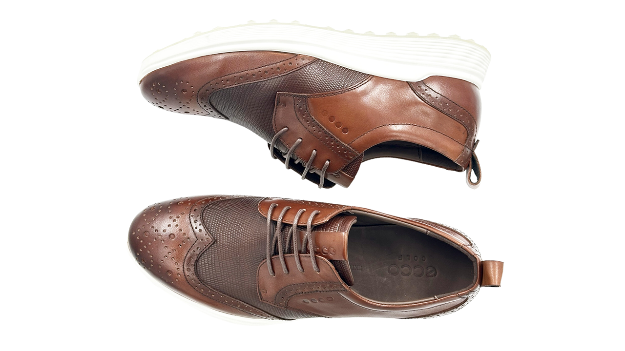 کفش اکو Ecco golf S_classic 10270401007