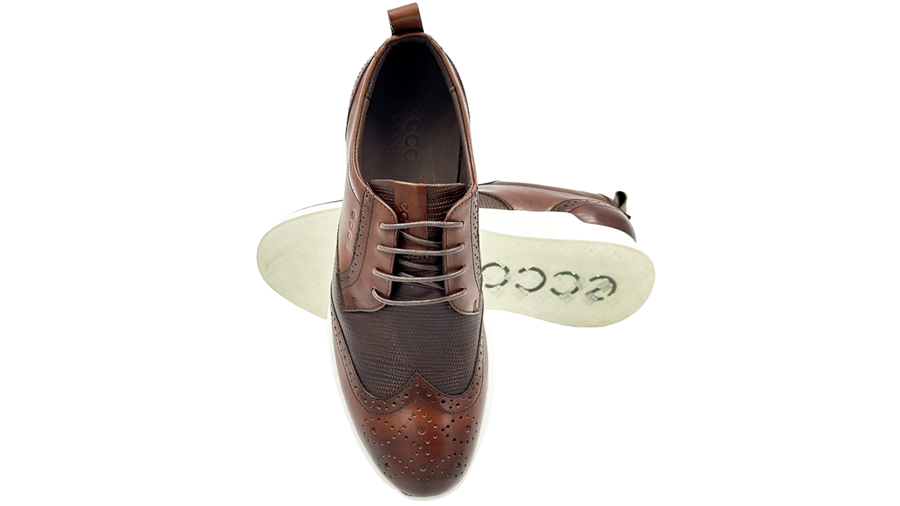 کفش اکو Ecco golf S_classic 10270401007