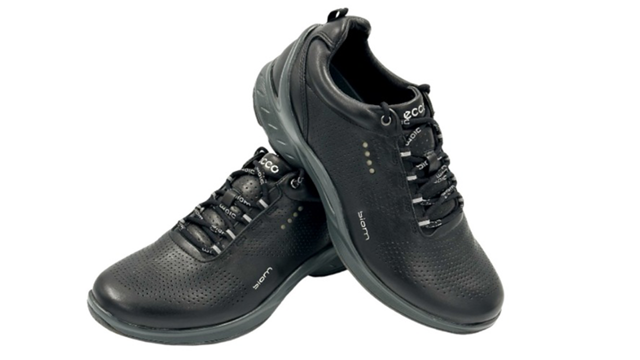 کفش اکو Ecco Biom Fjuel 83751401001