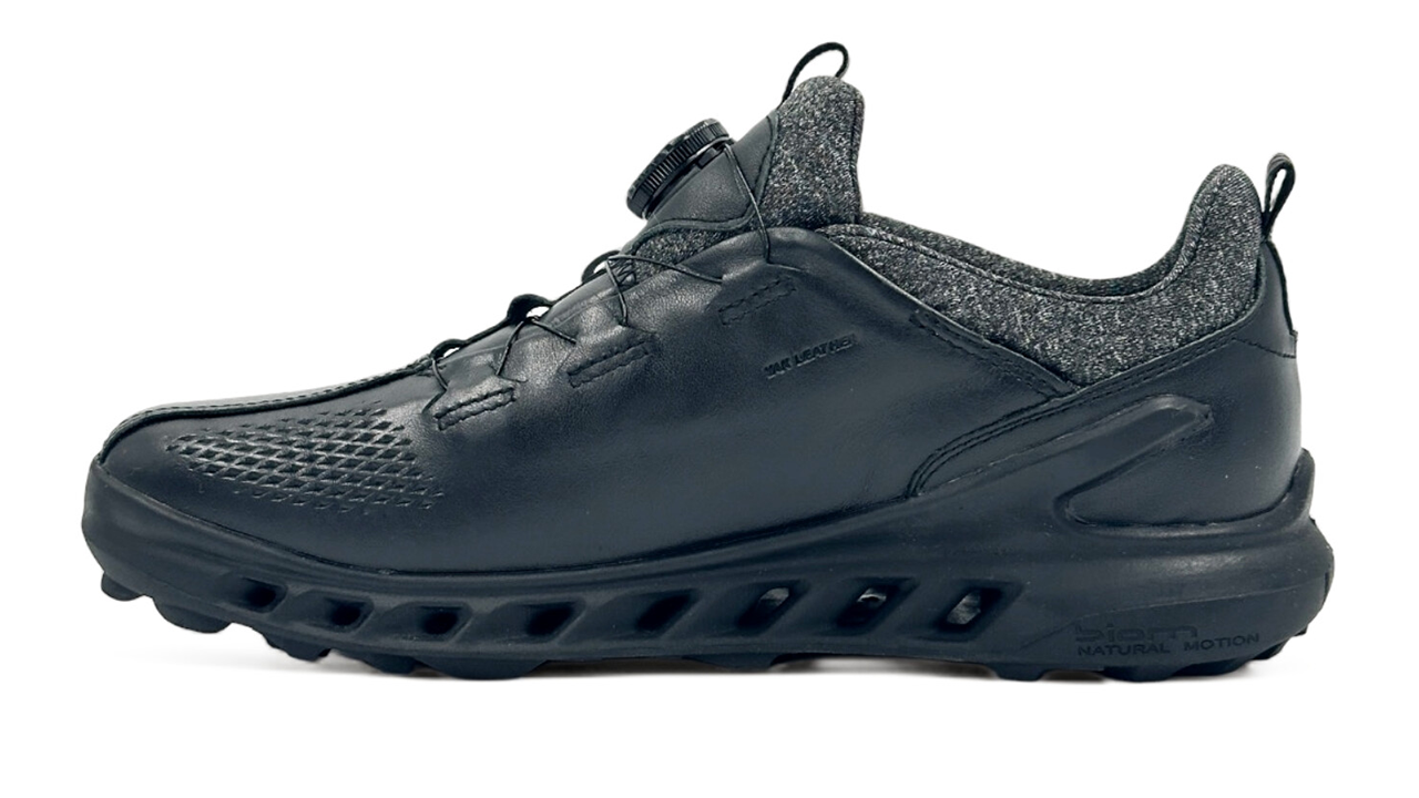 کفش اکو Ecco golf Biom Cool Pro Boa 10211401602