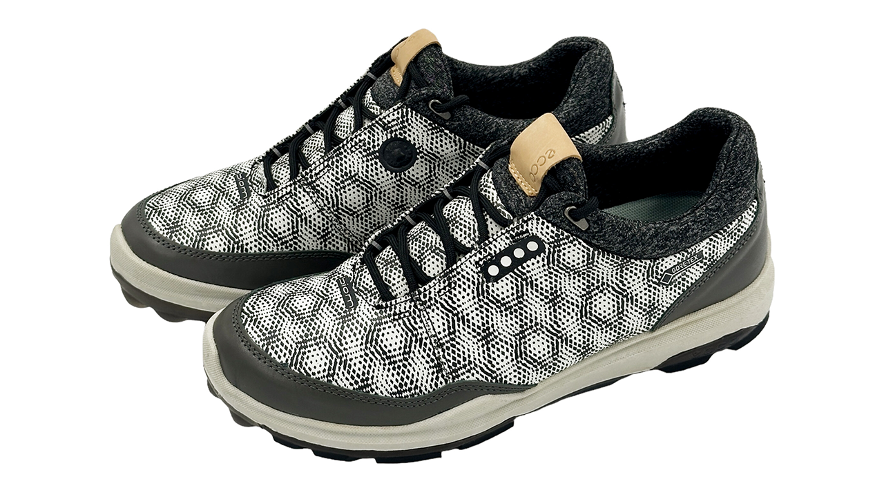 کفش اکو Ecco Biom  Hybrid3 GTX 155804