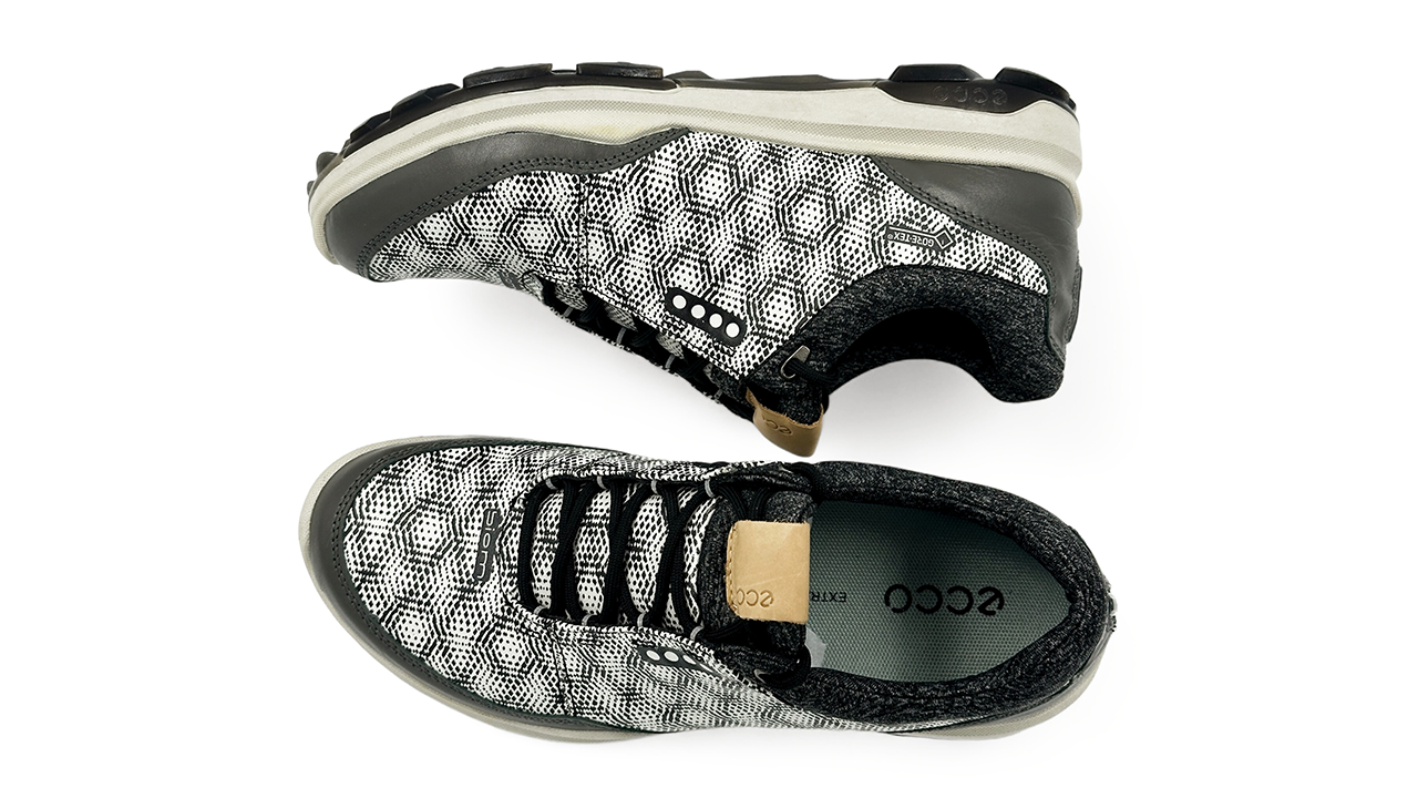 کفش اکو Ecco Biom  Hybrid3 GTX 155804