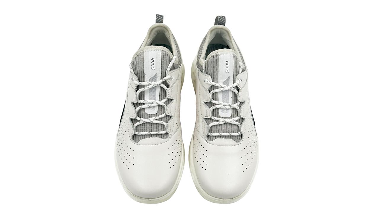 کفش اکو Ecco M Golf Biom C4 130404