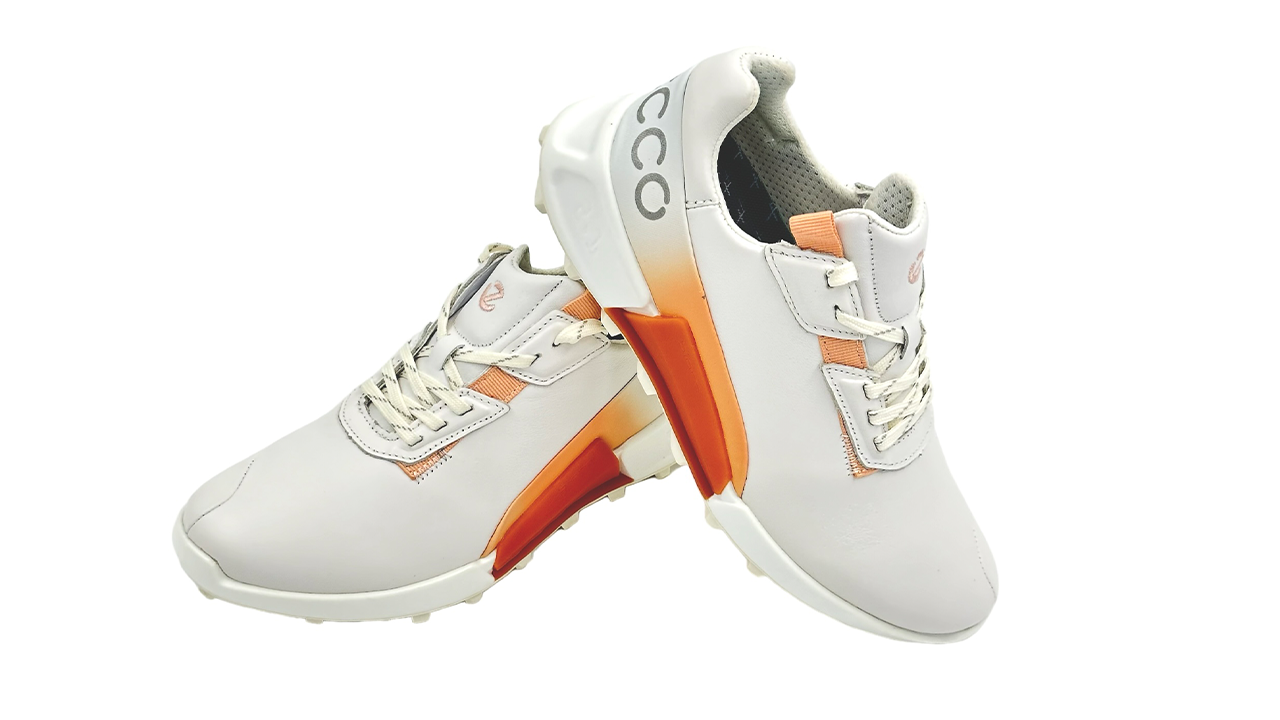 کفش اکو زنانه Ecco Biom 2.1 822863