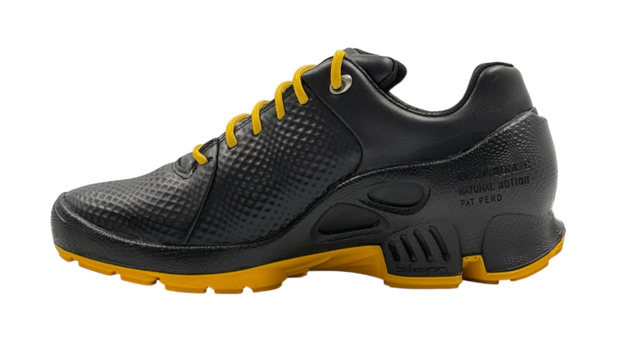 کفش اکو زنانه 800334 ECCO BIOM C W Shoes