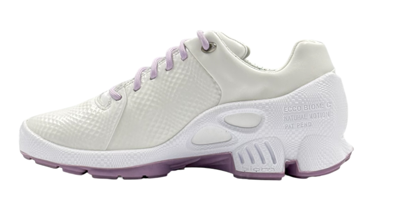 کفش اکو زنانه 800334 ECCO BIOM C W