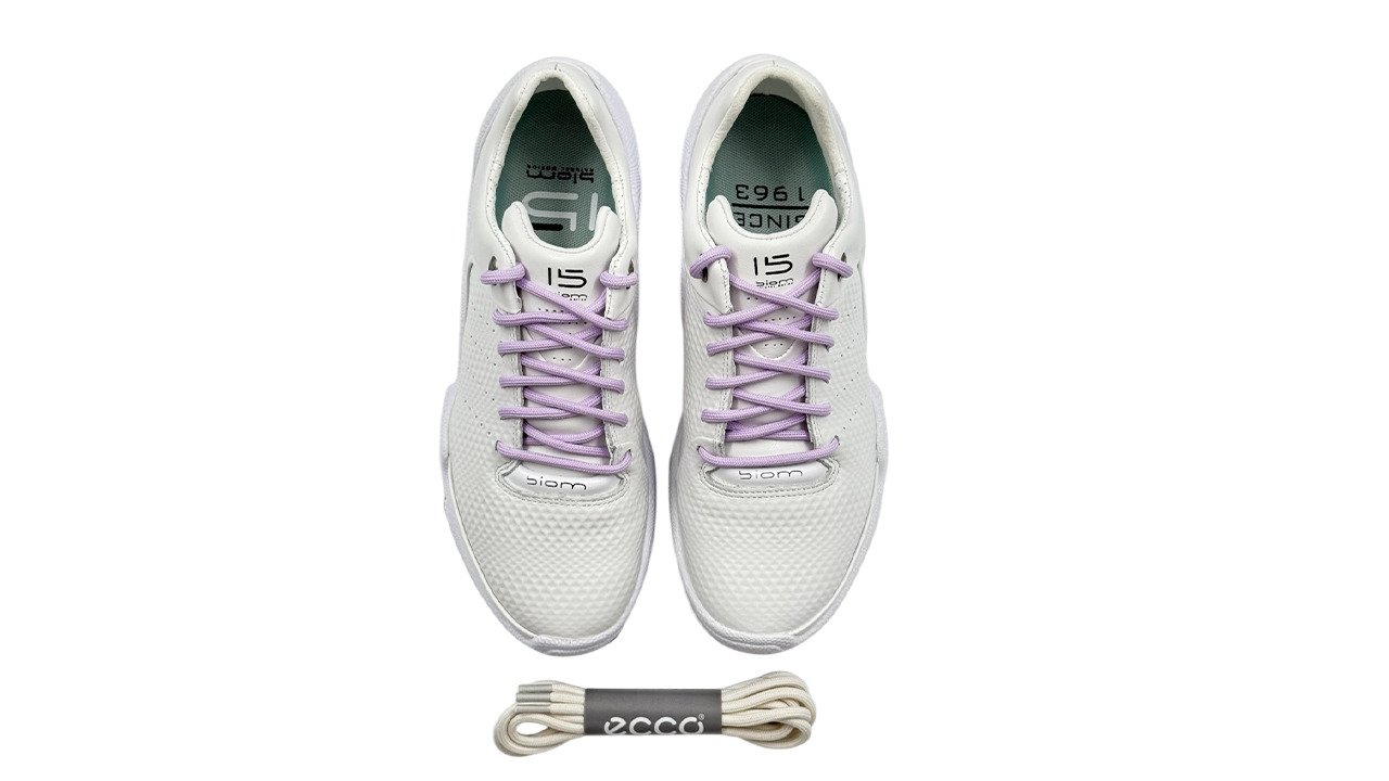 کفش اکو زنانه 800334 ECCO BIOM C W