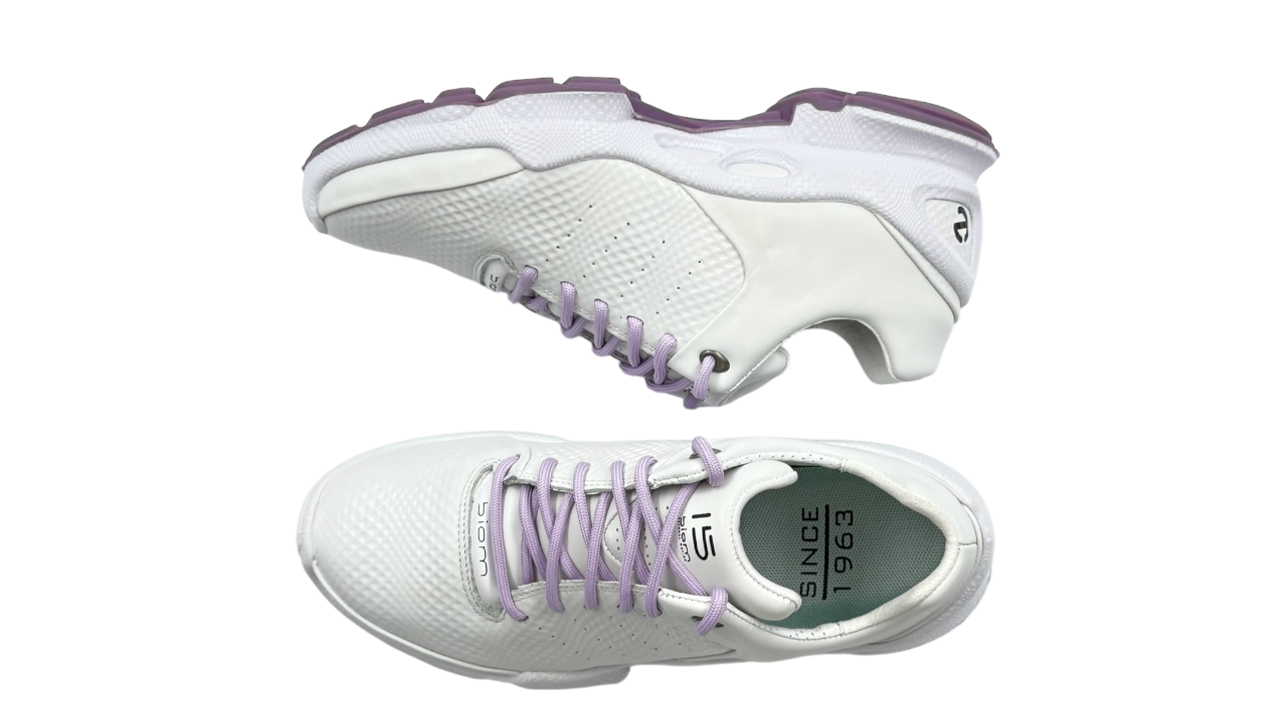 کفش اکو زنانه 800334 ECCO BIOM C W