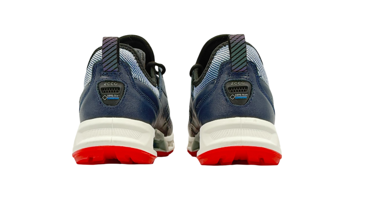 کفش اکو زنانه 130903 ECCO W GOLF BIOM C4