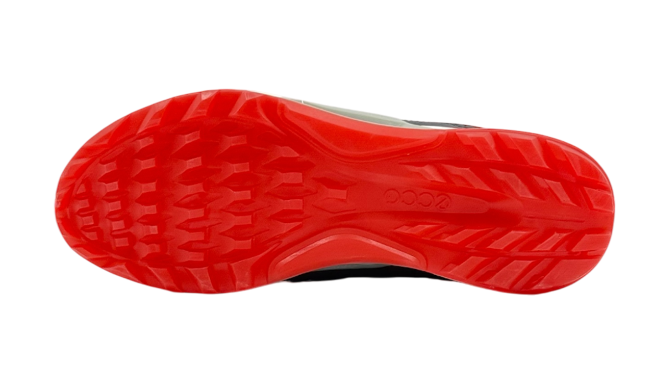 کفش اکو زنانه 130903 ECCO W GOLF BIOM C4