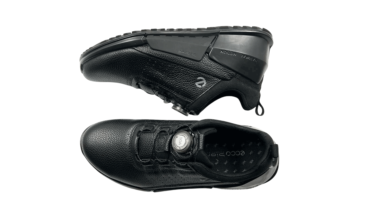 کفش اکو مردانه80087401001 ECCO BIOM 2.0 Boa