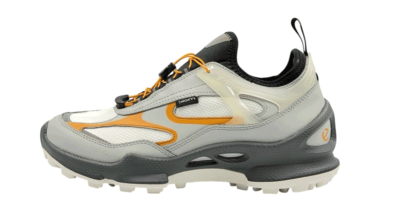 کفش اکو مردانه Ecco Biom C Trail Low Top 803384